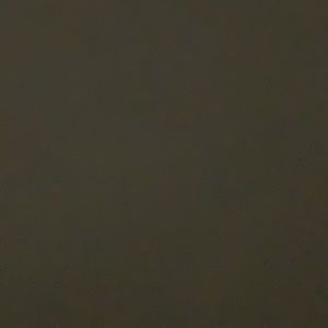 Meet your Posher, Yesenia